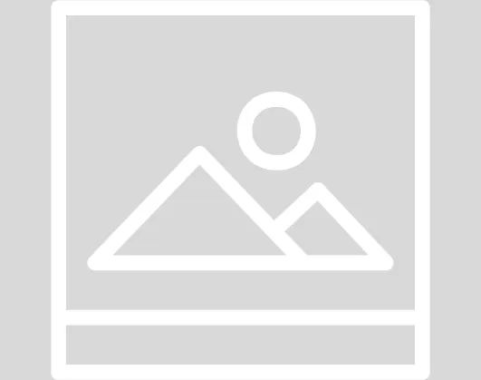 Default Logo